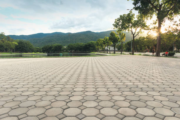 Best Concrete Paver Driveway  in Pine Island, TX